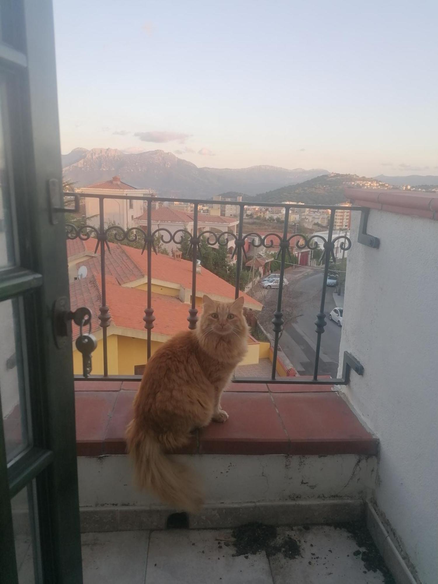 Guest house Coros Nuoro (Sardinia)